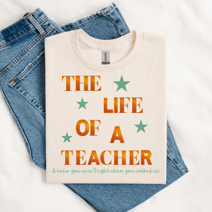 Life of a Teacher